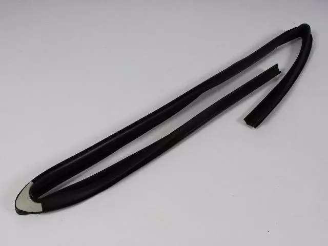 5065181AH - : Front Door Glass Run, Left for Chrysler: 300 | Dodge: Charger, Magnum Image