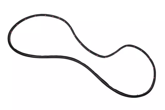 Front Driver Side Door Weatherstrip - GM (42440846)