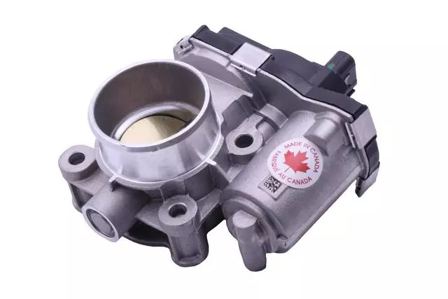 F (S)Body - GM (12704594)