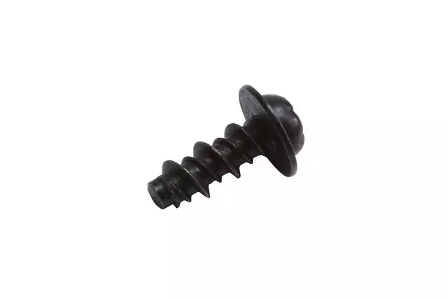 15928188 - : Sunroof Housing Drain Gutter Bolt for GM Image
