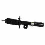 AST24666 - : Motorcraft™ Suspension Strut for Ford Image