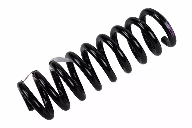 84153696 - Suspension: Coil Spring for GM Image