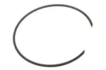 24253386 - : F (S)Ring for GM Image
