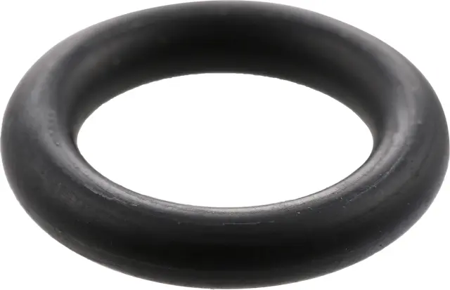 Water Hose O-Ring - Infiniti (N5065-HG00A)