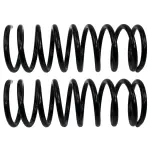 81618 - : Front Coil Spring Set for Moog Image