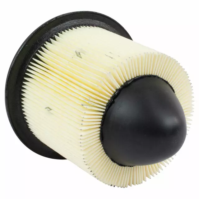 Engine Air Filter - Ford (F5OY-9601-A)