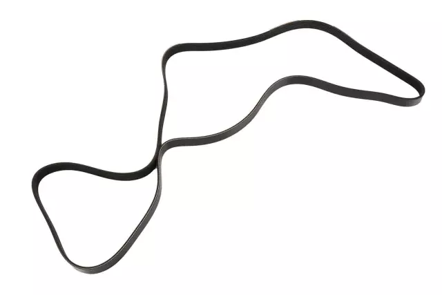 12630513 - : V-Ribbed Serpentine Belt for GM Image