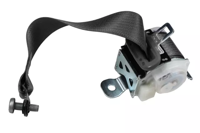 19259871 - Electrical: Outer Belt Assembly for Chevrolet: Malibu, Malibu Limited Image