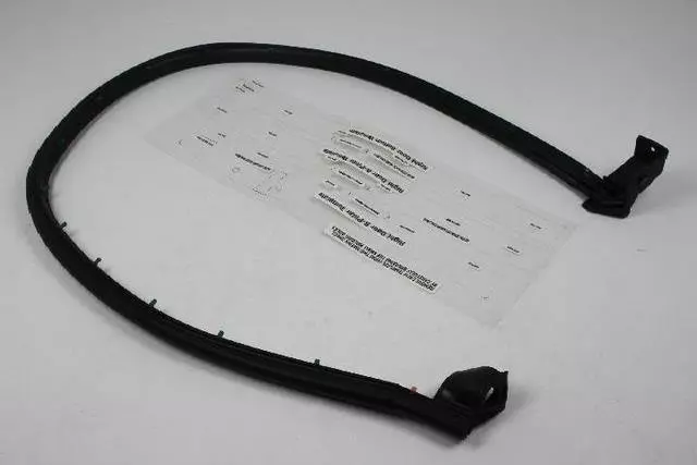 Front Door Weatherstrip, Left - Mopar (5017011AB)