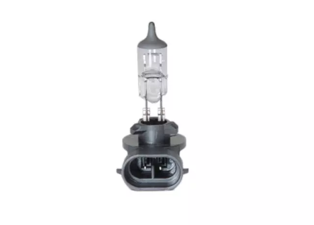 12450061 - Electrical: Fog Lamp Bulb for Chevrolet: SSR | Pontiac: Grand Prix, Solstice Image