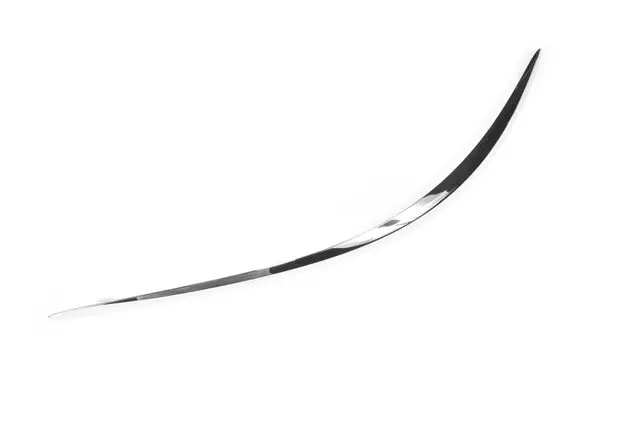 15276879 - Body: Rub Strip for Buick: LaCrosse Image