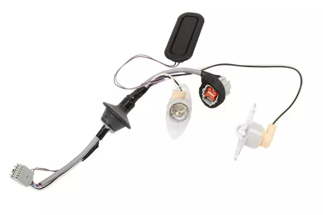 Rear License Plate Lamp - GM (20890648)