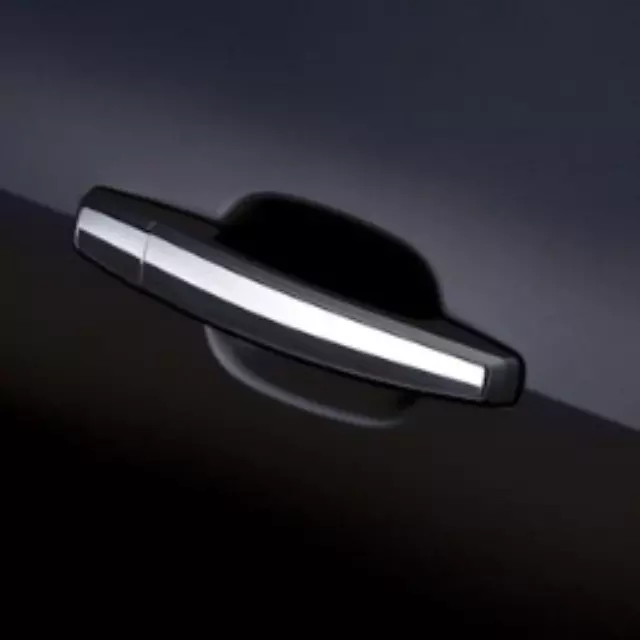 Door Handles Sets - GM (22817269)