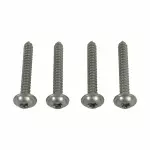 W502665S437 - Body: Grip Handle Screw for Ford Image