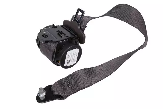 19353331 - Electrical: Outer Belt Assembly for Buick: Verano Image