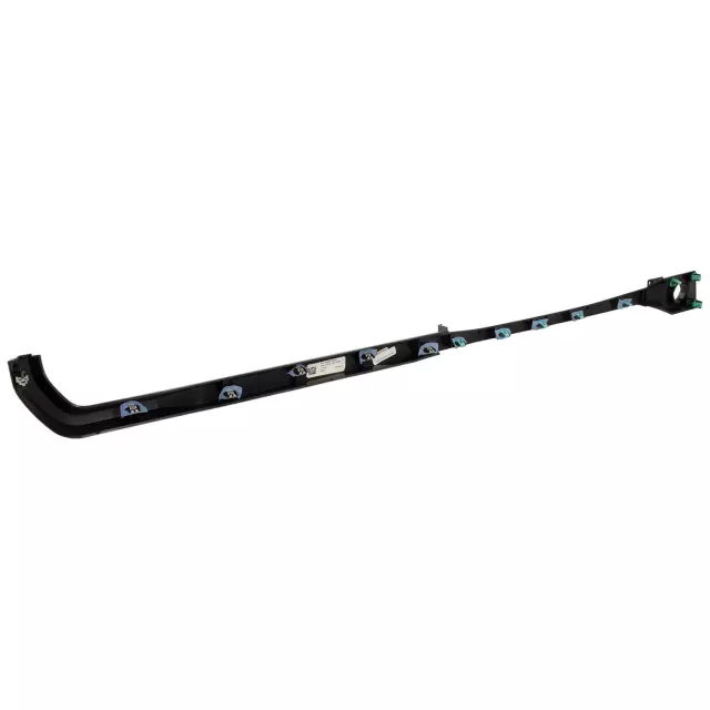 Finish Molding - Ford (ML3Z-1504338-AK)