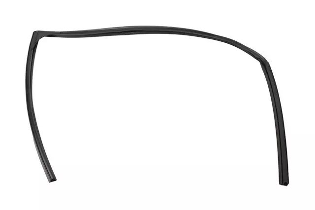 Passenger Side Rear Door Window Outer Weatherstrip - GM (20939316)