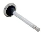 V1779S - : Engine Exhaust Valve for Enginetech Image