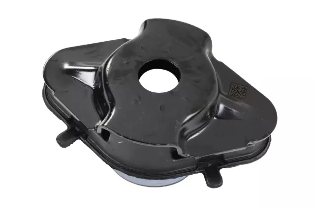 F Cushion - GM (85732505)