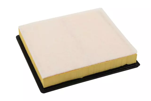 20972655 - Maintenance &amp; Lubrication: Air Filter for Buick: Regal | Chevrolet: Malibu Image