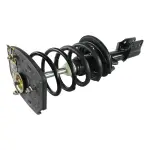 810038 - : Buick, Chevrolet Suspension Strut and Coil Spring Assembly  - Rear Right for GSP Image