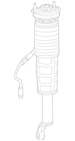 2223205913 - : Suspension Strut for Mercedes-Benz Image