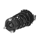 815048 - : PRT 815048 Suspension Strut and Coil Spring Assembly for PRT PERFORMANCE RIDE Image