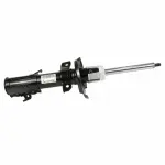 AST24734 - : Motorcraft™ Strut for Ford: Fiesta Image