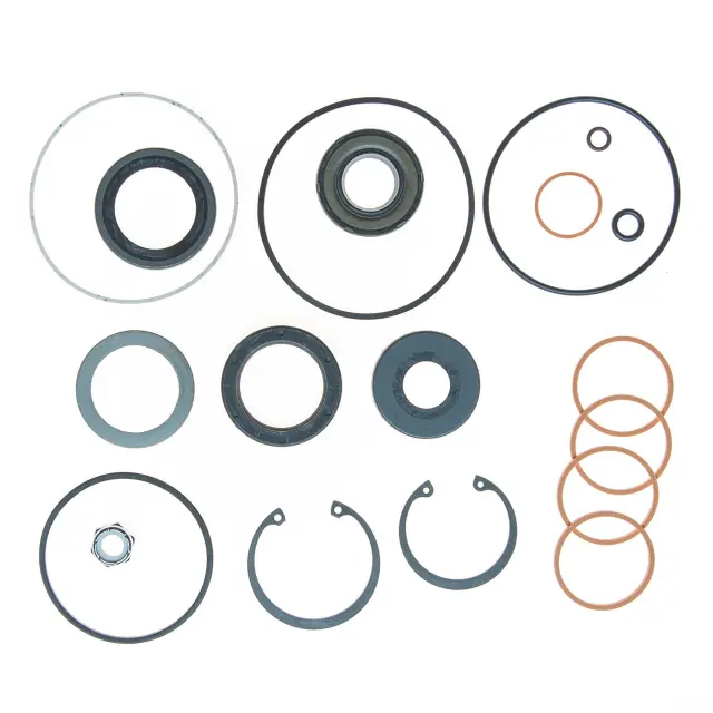 8771 - : STG. GEAR MAJOR SEAL KIT for Edelmann Image