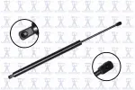 84271 - : Liftgate Lift Support for Focus Auto Parts Image