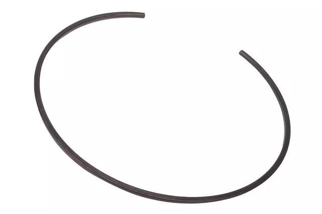 F (S)Ring - GM (24044210)