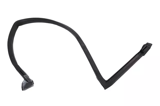 10198207 - Body: Weatherstrip for Chevrolet: Camaro | Pontiac: Firebird Image