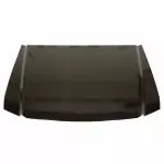 4C3Z16612AA - Body: Hood for Ford: Excursion, F-250 Super Duty, F-350 Super Duty, F-450 Super Duty, F-550 Super Duty Image
