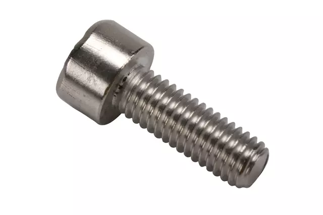 Control Module Screw - GM (11611291)