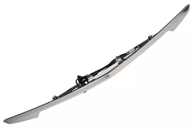 Galvano Silver Deck Lid Center Applique with License Plate Lamp - GM (84096096)