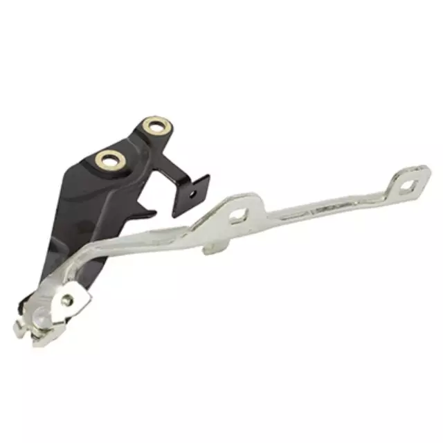Hinge - Ford (FR3Z-16796-B)