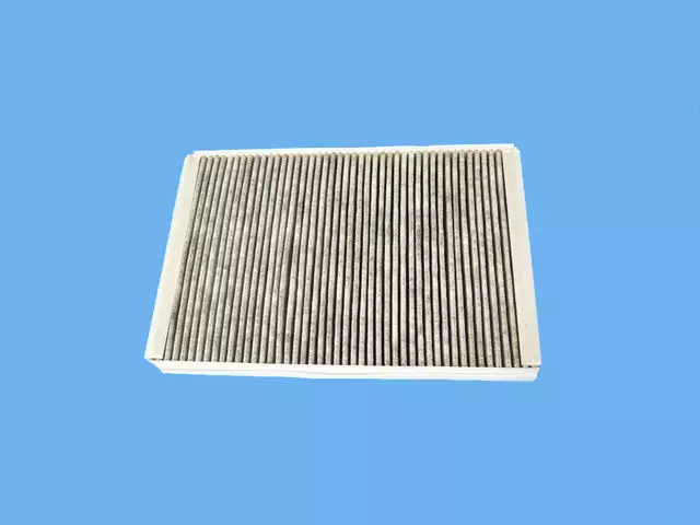 68535605AA - : A/C And Heater Unit Filter for Mopar Image