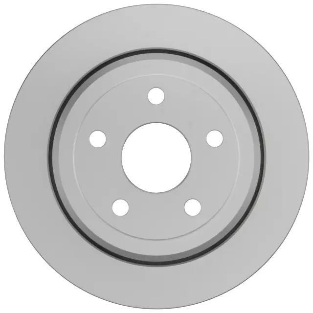 16011618 - : Bosch Disc Brake Rotor for Bosch Image