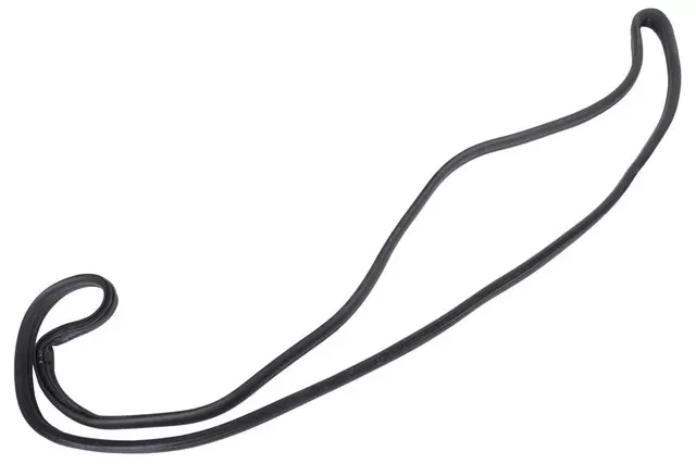 19318370 - : Door Weather-Strip for Chevrolet: City Express Image