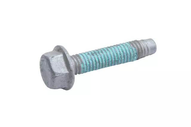 Door Window Channel Bolt - GM (11611356)