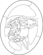 484306HH6C - : Steering Wheel for Infiniti Image