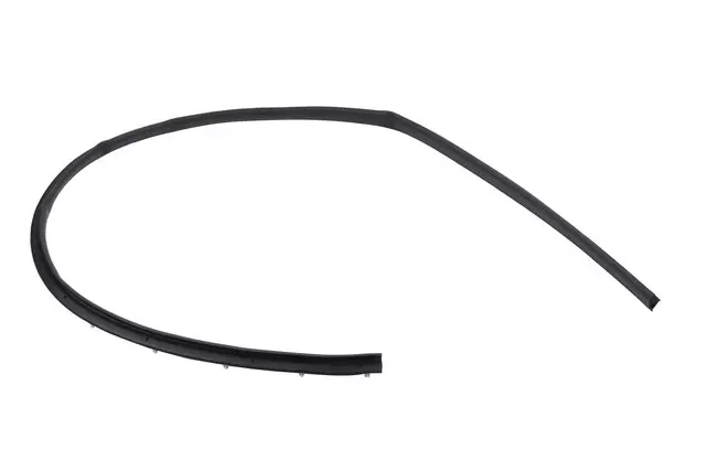 Driver Side Door Window Belt Weatherstrip - GM (42440817)