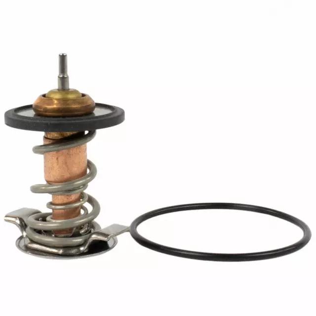 QRT6 - : Thermostat Assembly for Ford Image