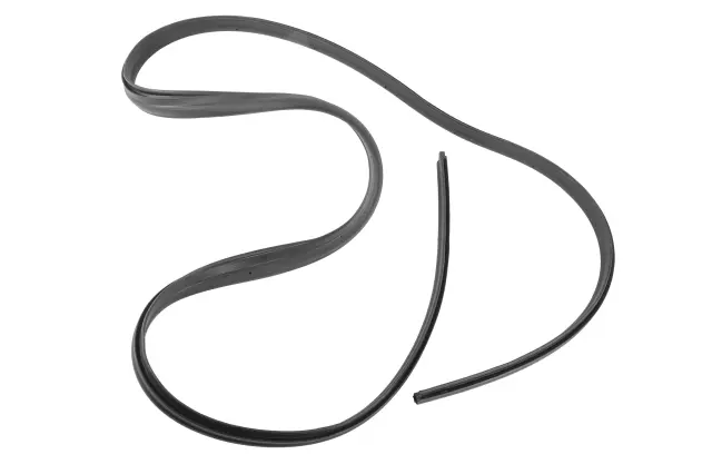 22657721 - Body: Weatherstrip for Pontiac: Grand Am Image