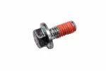 24262350 - : F (S)Bolt for GM Image