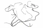 84995038 - : Headlining Trim Panel Harness for GM Image