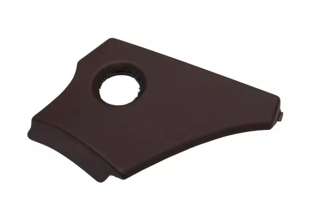 Brownstone Passenger Side Instrument Panel Accessory Switch Trim Panel - GM (20899853)