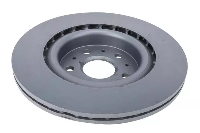 Rear Disc Brake Rotor - GM (13514480)