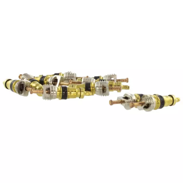 Valve Assembly - Ford (4C4Z-19D701-AA)