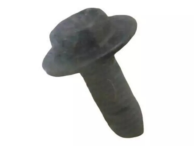 Shroud Assembly Screw - Ford (W710485-S424)